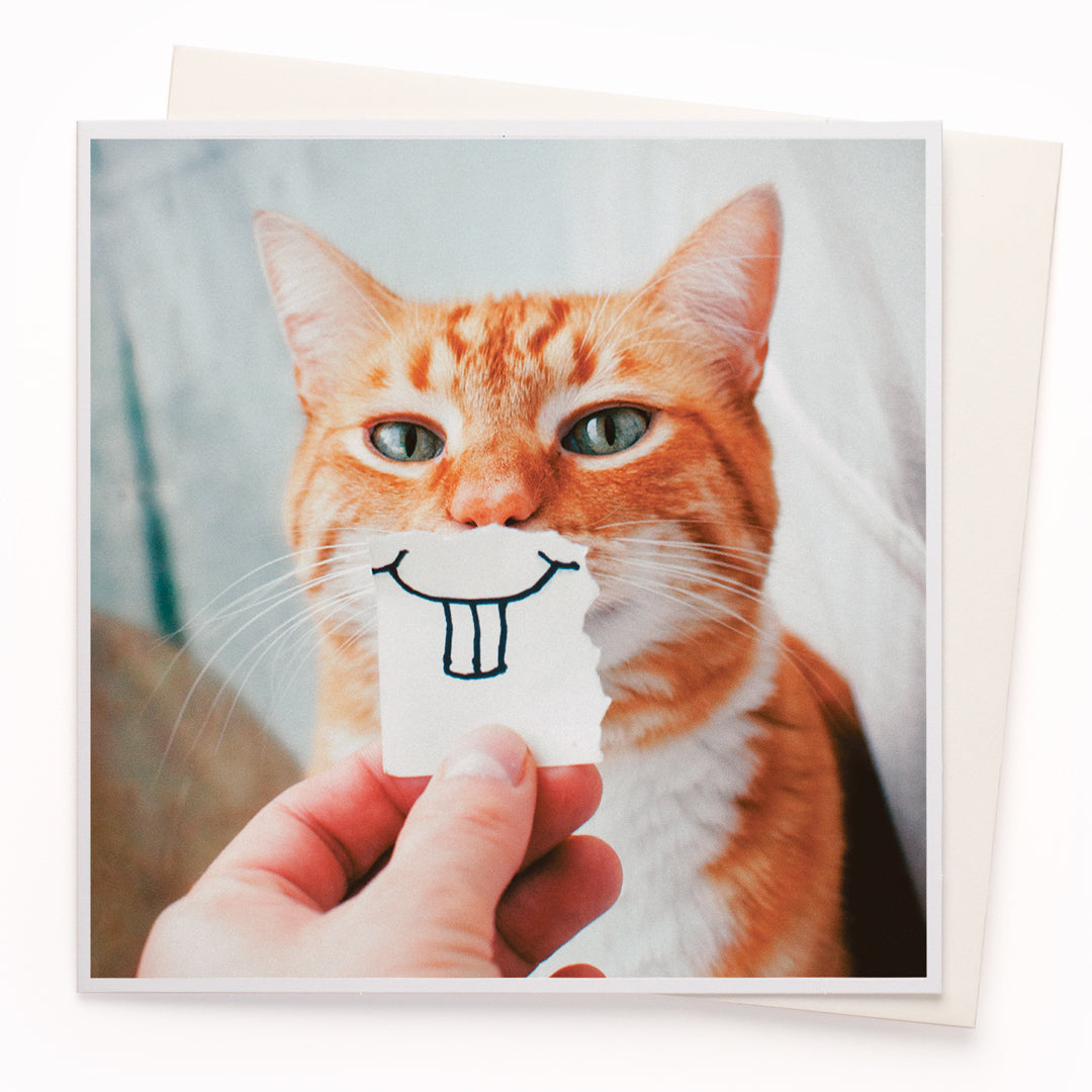 Buck Tooth Kitty