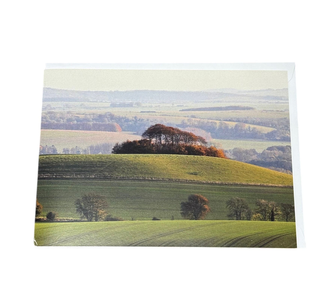 The Vale Of Pewsey Wiltishire