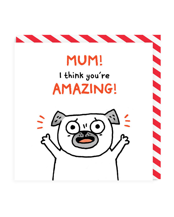 Mum! I Think You're Amazing
