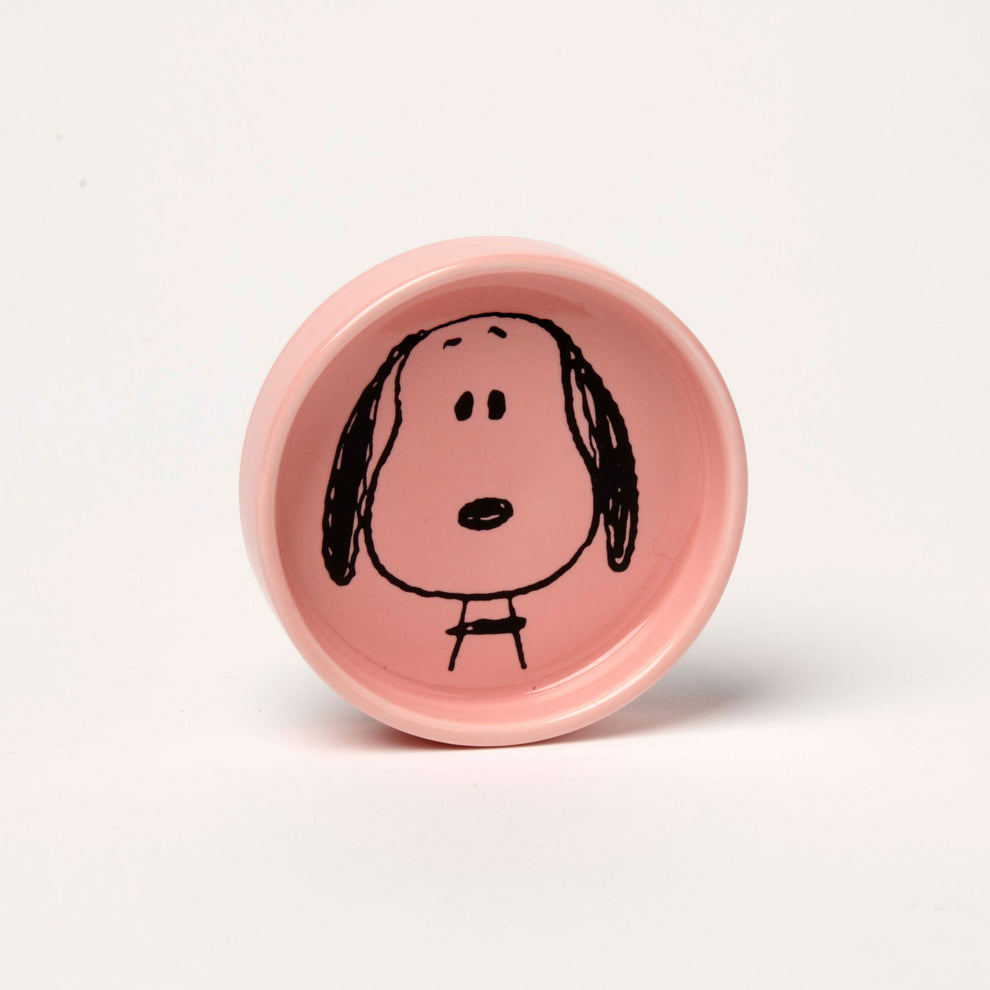 Peanuts Snoopy Pin Dish -Visage