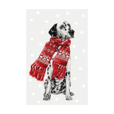 Dalmatian With Festive Scarf