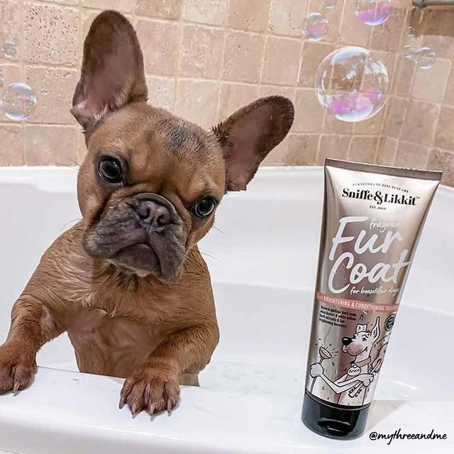 Fragrant Fur Coat 3 in 1 Brightening & Conditioning Shampoo