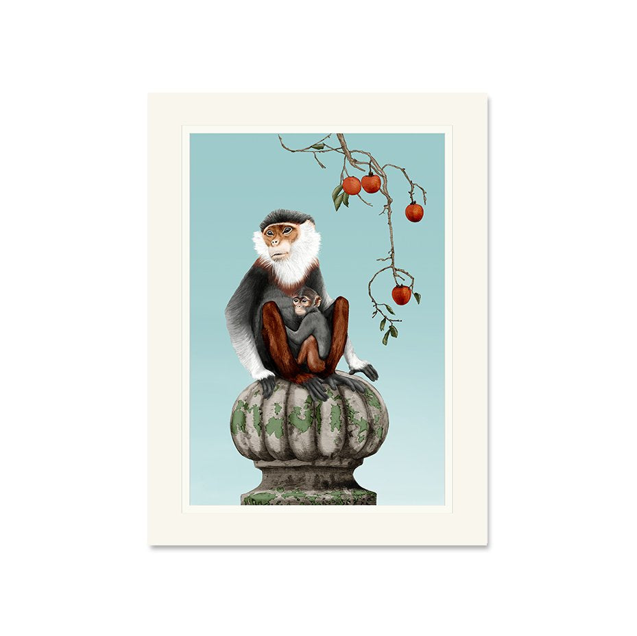 Asian Monkey Framed Art Print