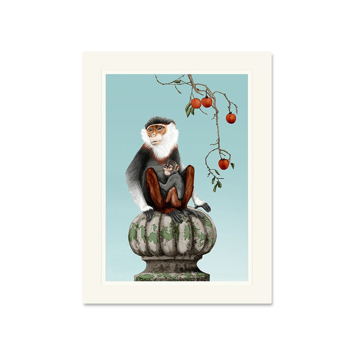 Asian Monkey Framed Art Print