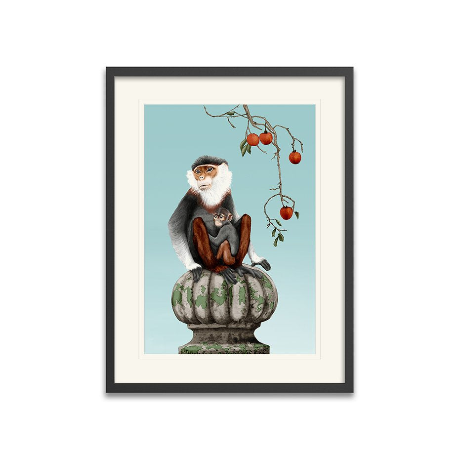 Asian Monkey Framed Art Print