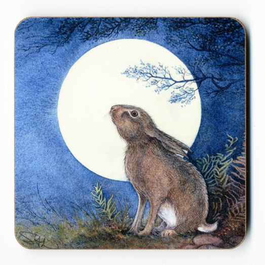 Spellbound Coaster