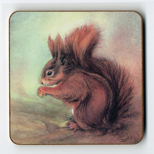 Squirrel Coaster