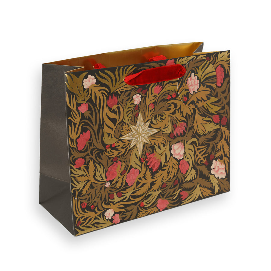Festive Star Gift Bag-Medium Landscape