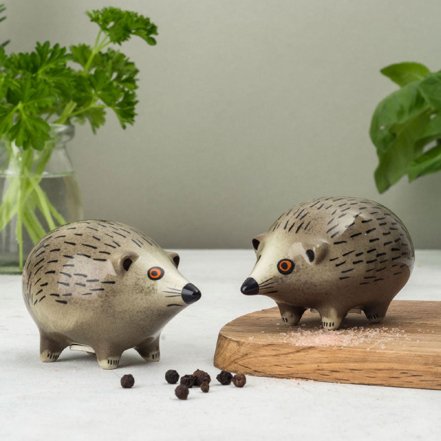 Salt & Pepper Shakers - Hedgehog
