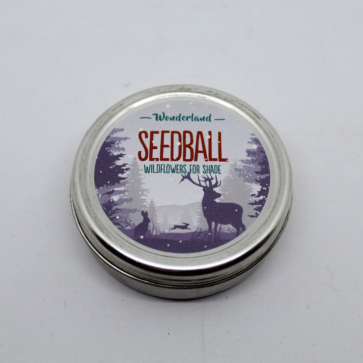 Seedball Wildflower Tins - Snow Mix