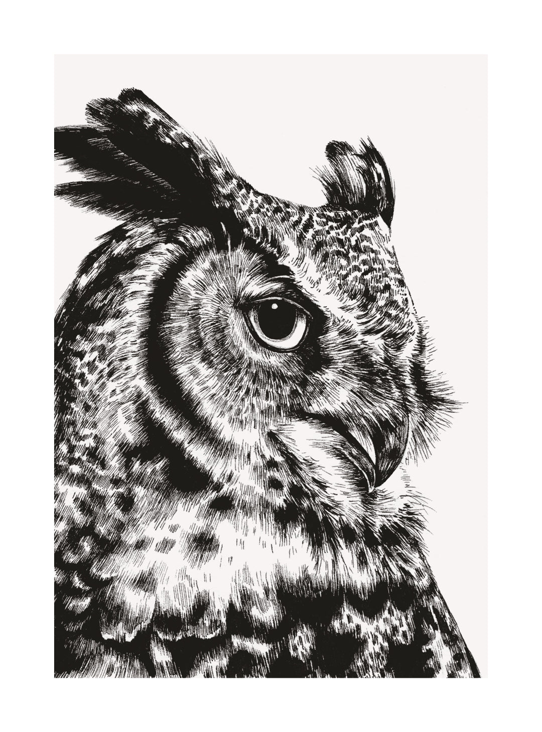 Great Horned Owl