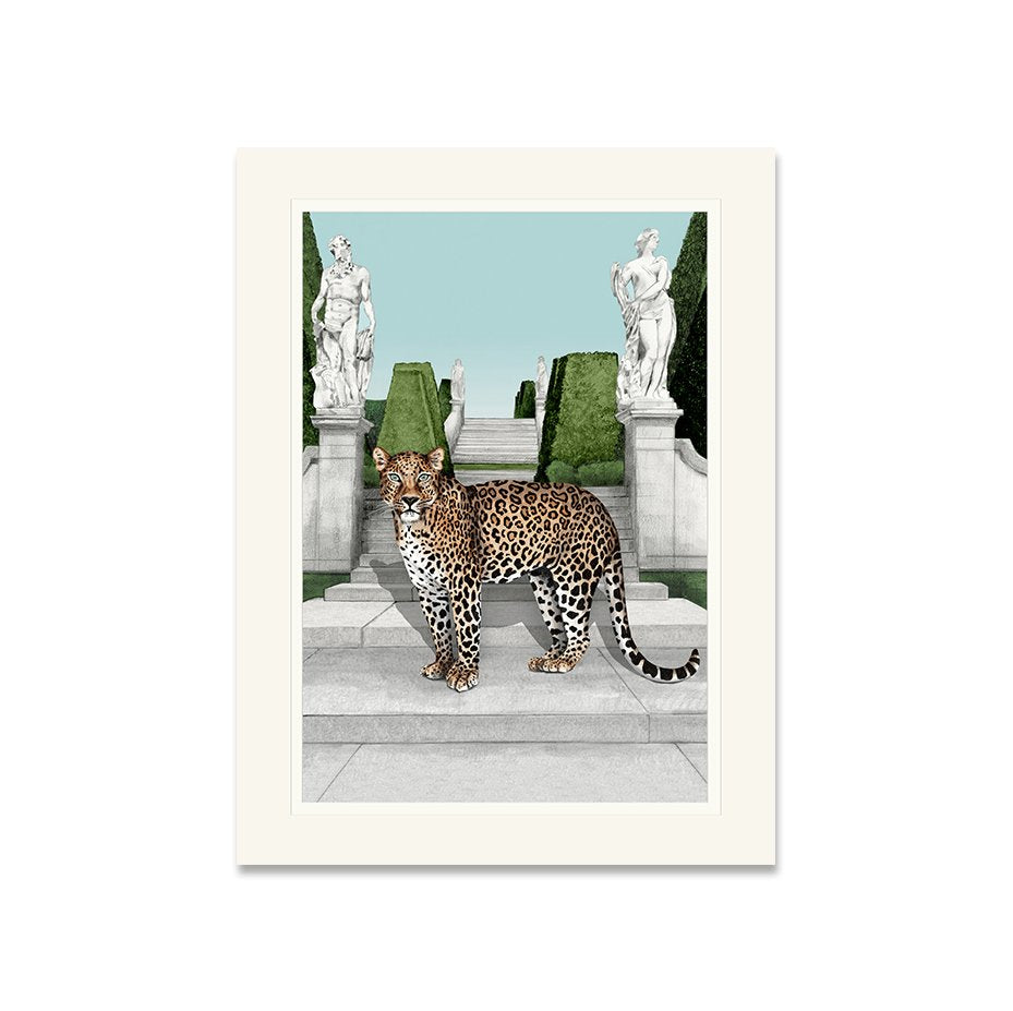 Leopard Framed Art Print
