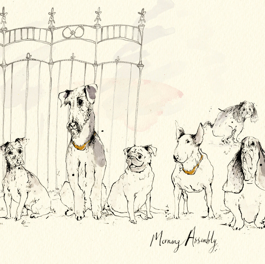 Morning Assembly