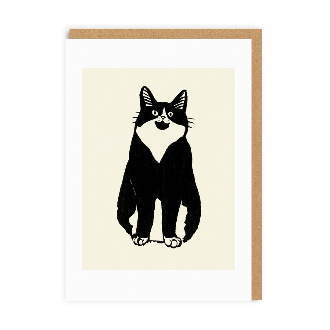 Cat Stare