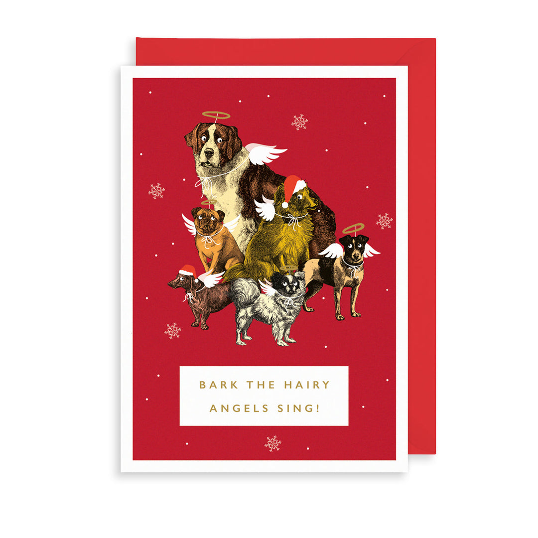 Bark The Hairy Angels Sing