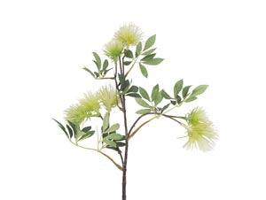 Dragon Fruit Single Stem Faux Flower - White