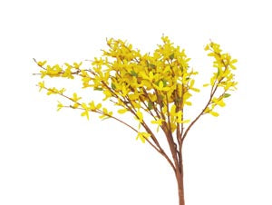 Forsythia Single Stem Faux Bush - Yellow