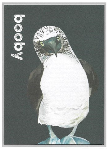Booby