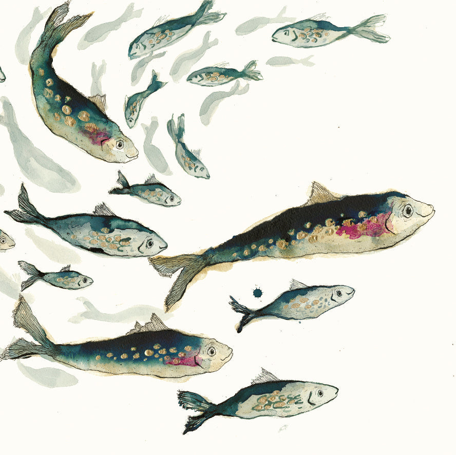 Fishy Friends