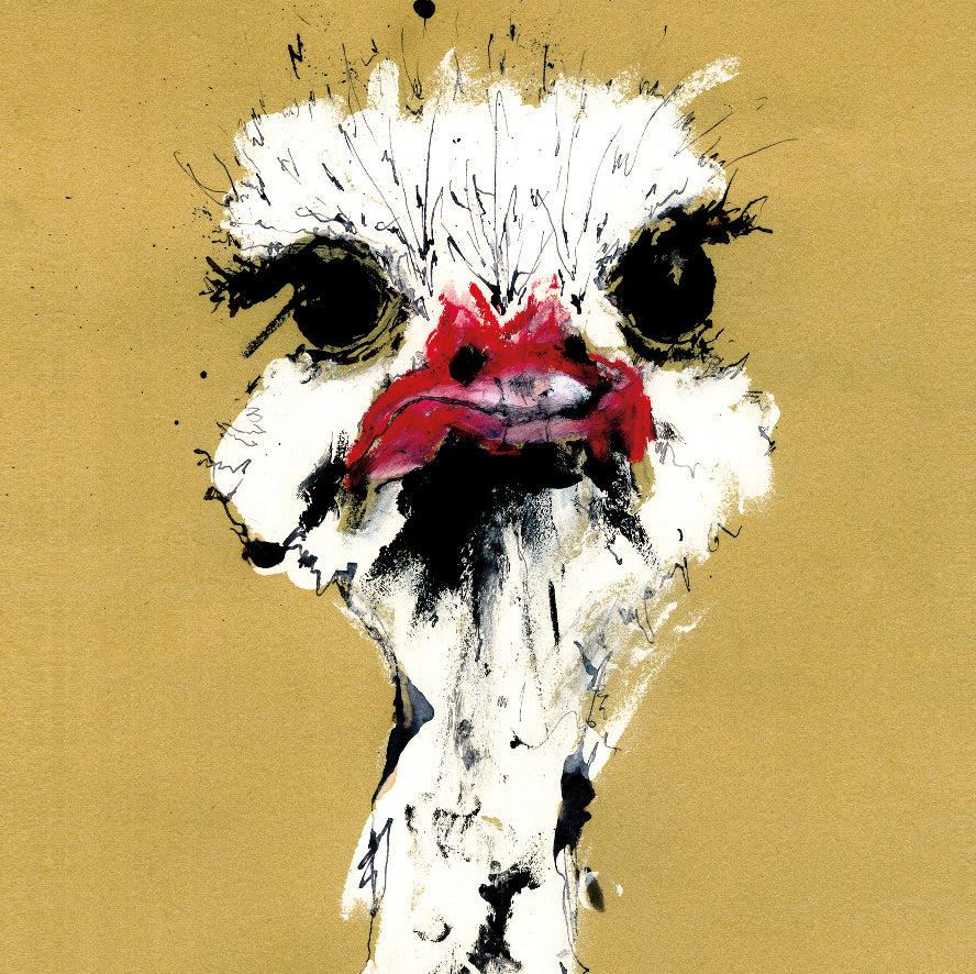 Ostrich