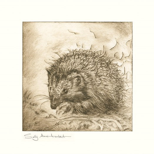 Hedgehog