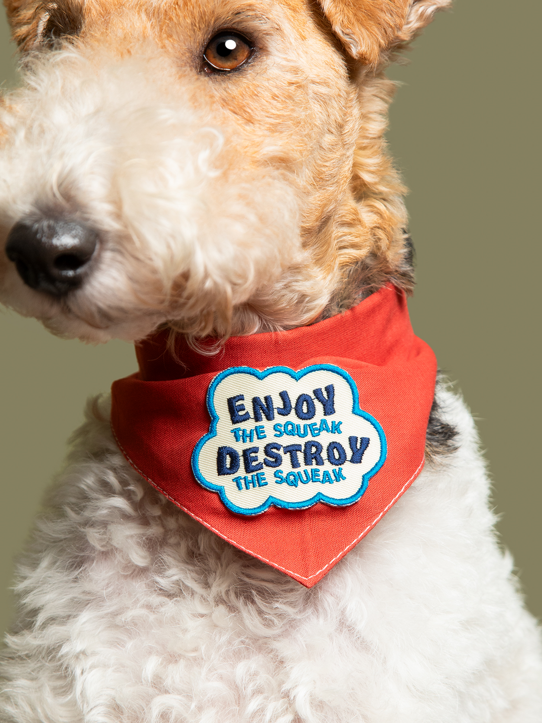 Enjoy The Squeak Iron On Merit Badge For Pets