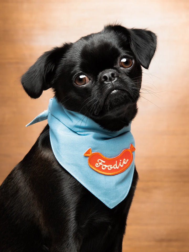 Foodie - Iron On Dog Merit Badge