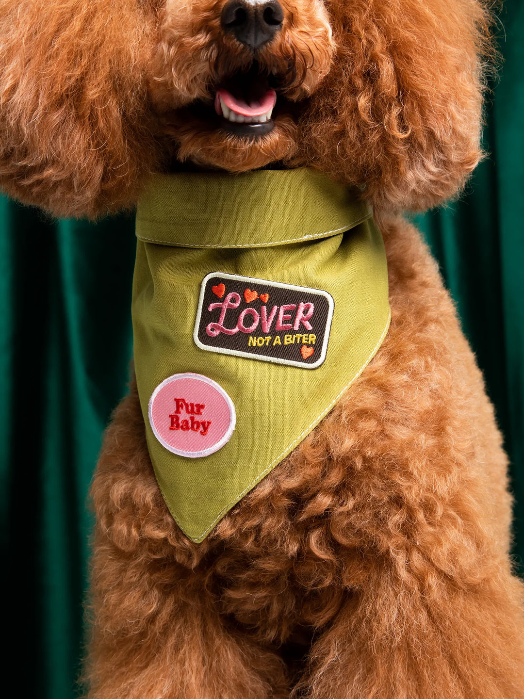 Lover Not A Biter - Iron-on Merit Badge For Pets