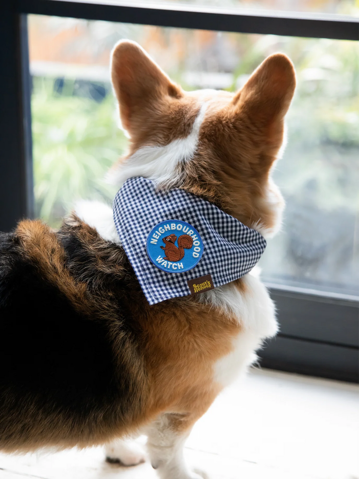Neighbourhood Watch Iron  On Patch For Pets