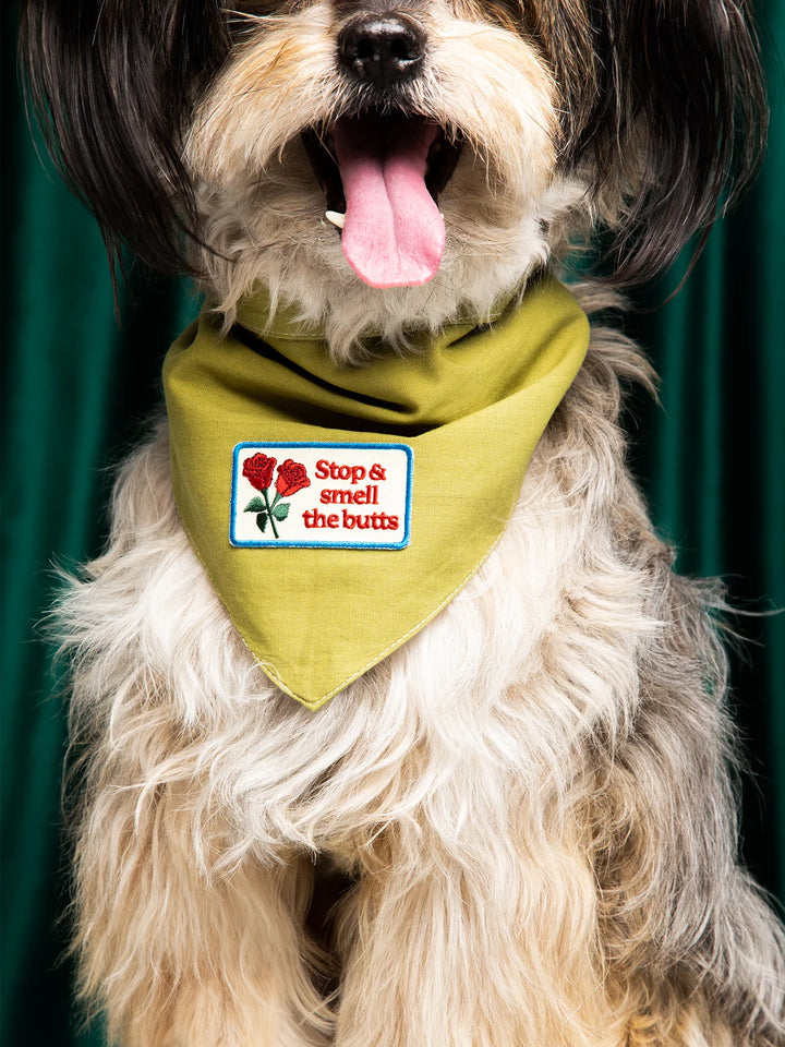 Stop And Smell the Butts - iron on Dog Merit Badge