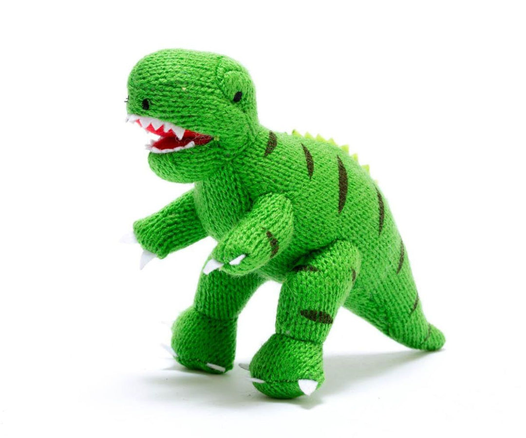 T-Rex Baby Rattle - Green