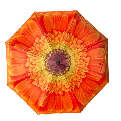 Inside Out Umbrella - Orange Daisy Stick