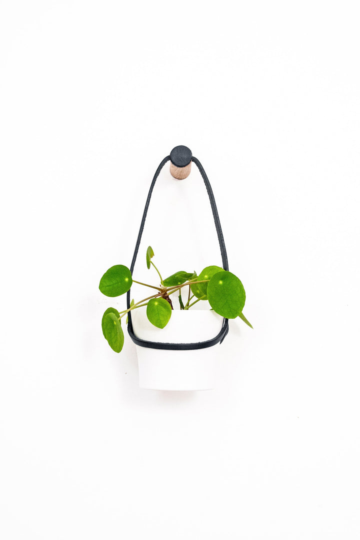 Peg Wall Planter - Black