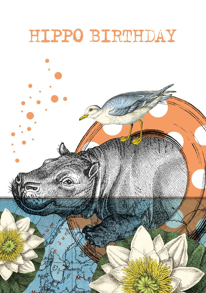 Hippo Birthday