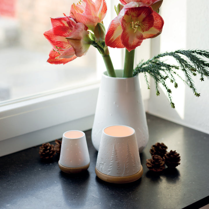 Poetry Lantern -  Forest Tea Light