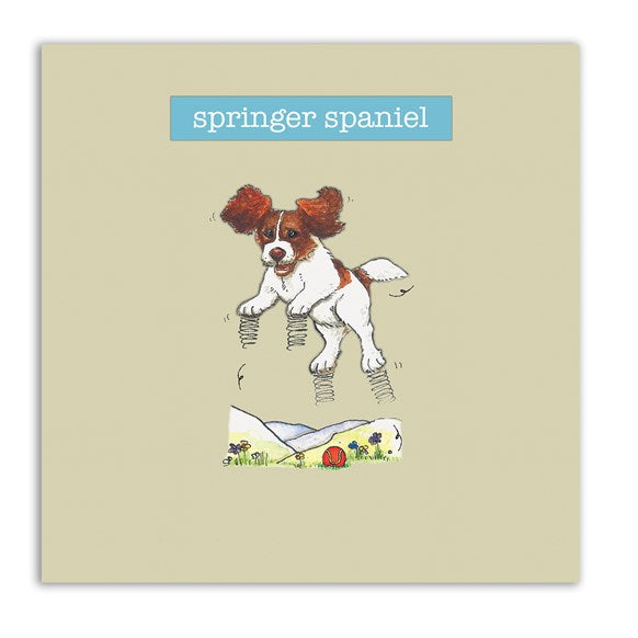 Springer Spaniel Greetings Card