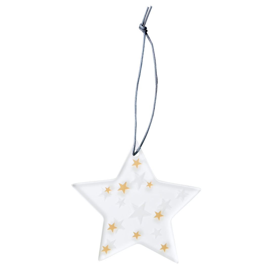 Iced Star Hanging Decoration - Star