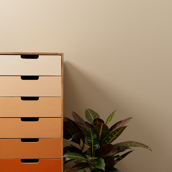 Fennec - Peel & Stick Paint Sample