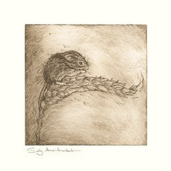 Field Mouse