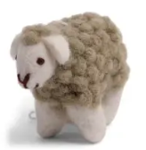 Mini Sheep