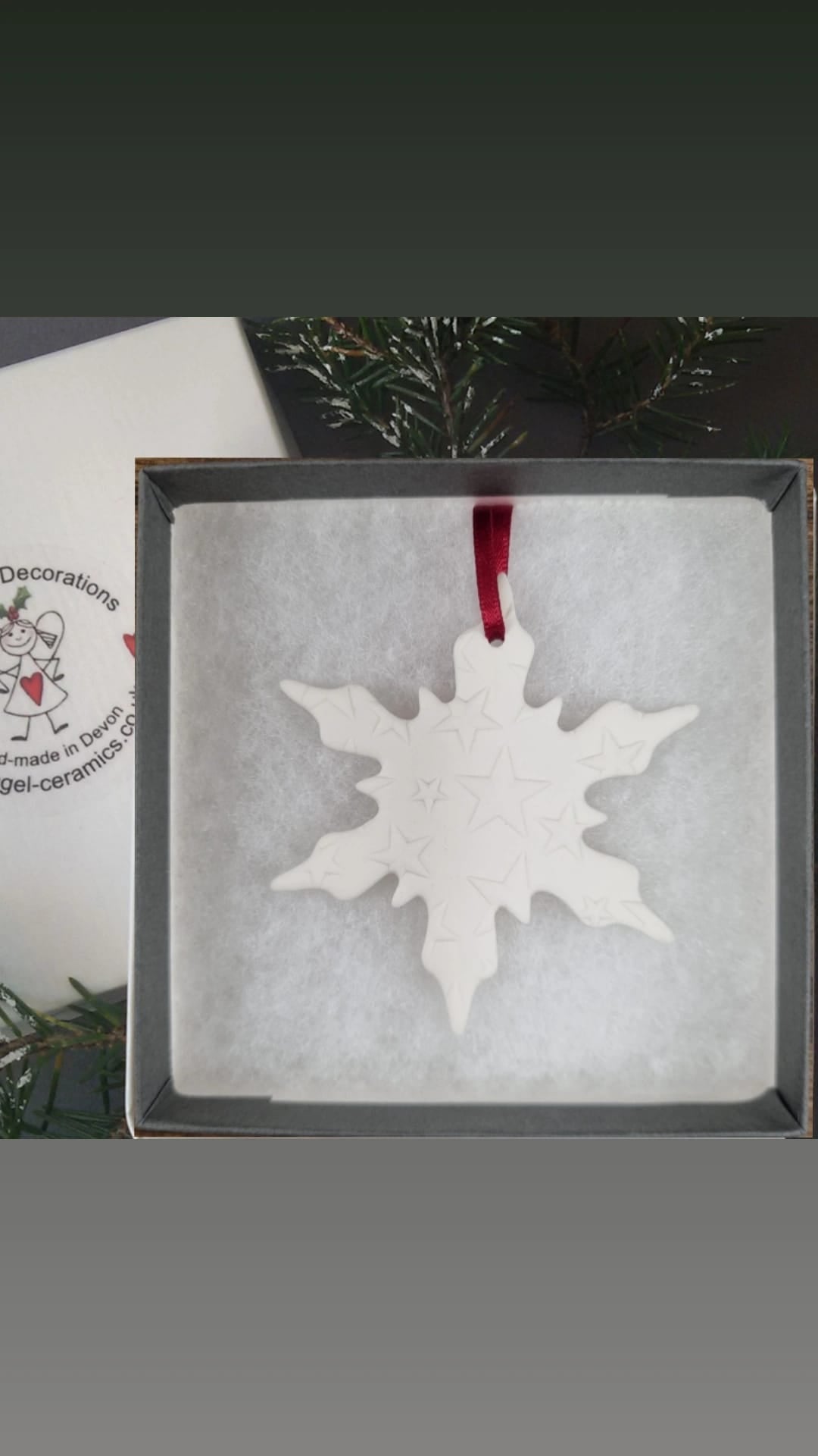 Snowflake Decoration - Raised Stars