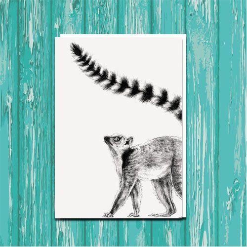Ring-tailed Lemur