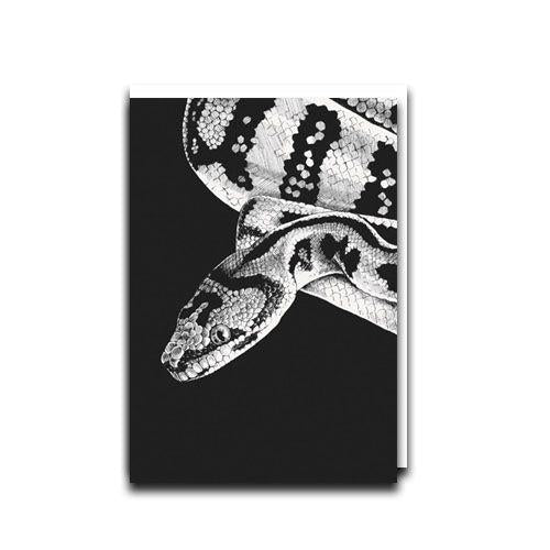 Python