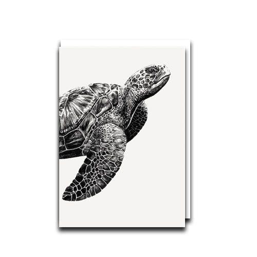 Sea Turtle