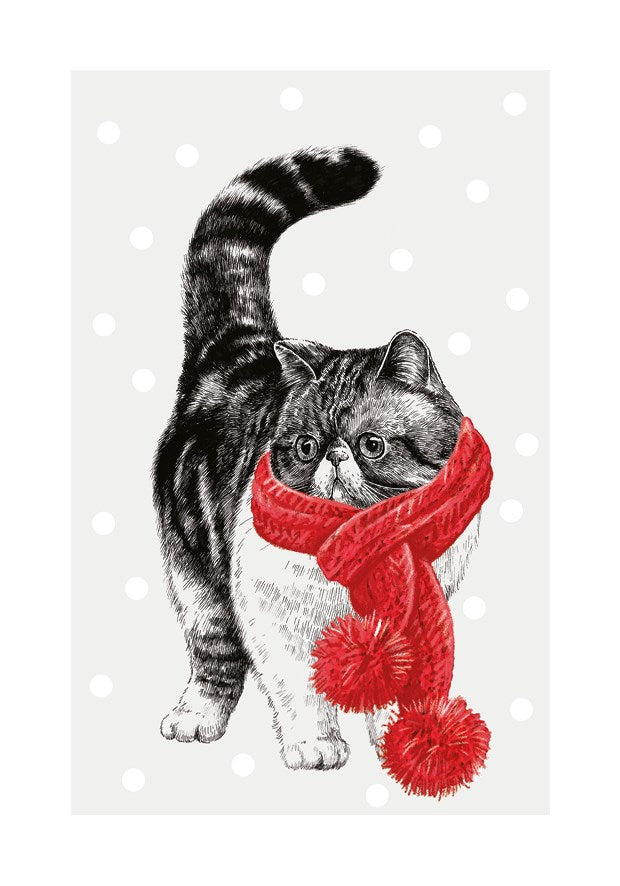 Cat with Pom Pom Scarf