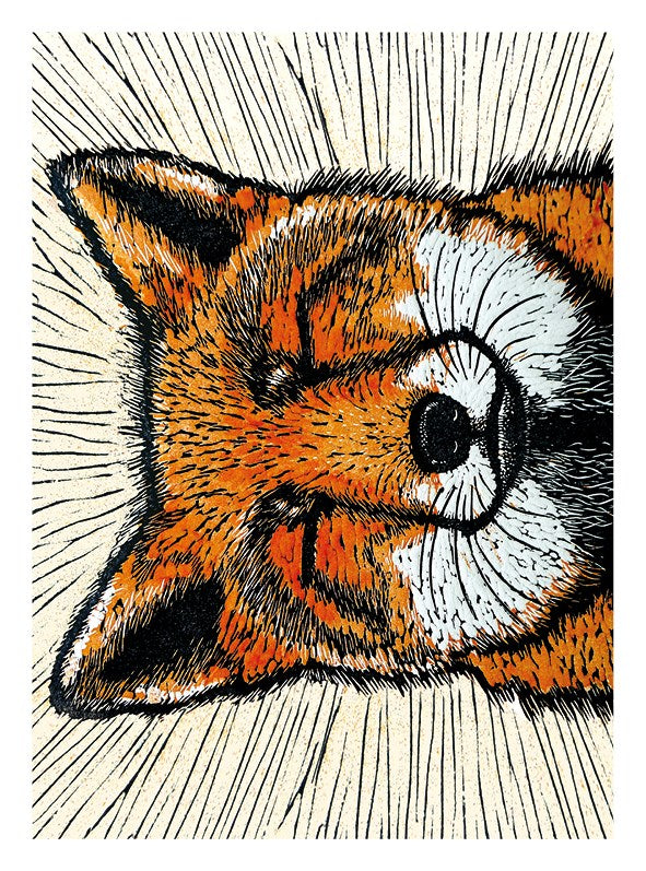 Red Fox