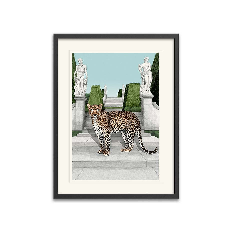 Leopard Framed Art Print
