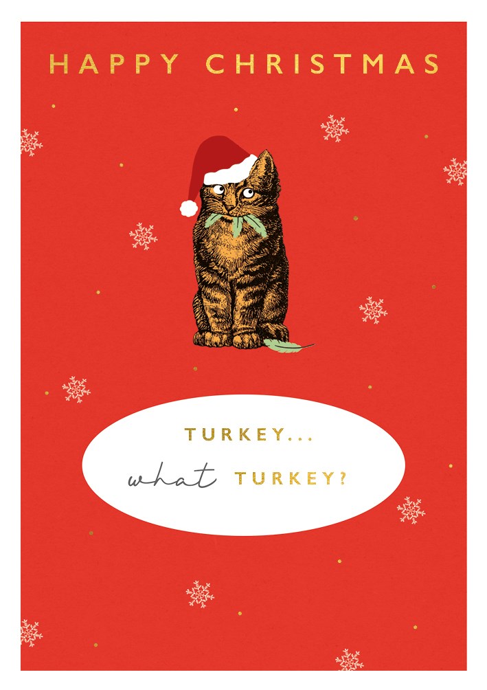 Turkey What Turkey