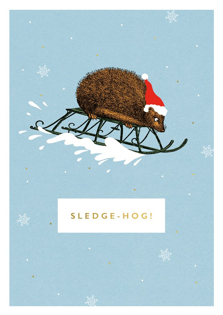 Sledge-Hog
