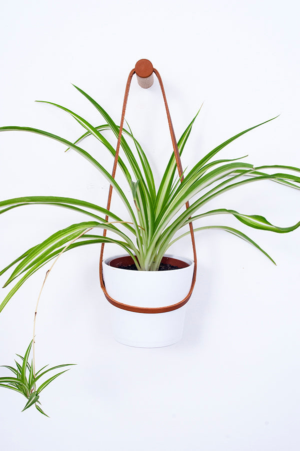 Peg Wall Planter - Black